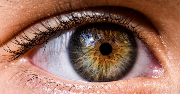 L'importance de votre regard