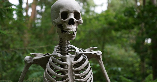 La mort nest pas la désincarnation de l'âme