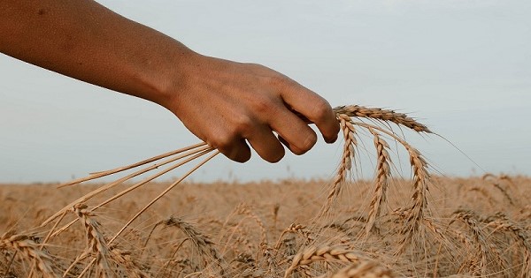 Le défi, le paysan qui défie Dieu